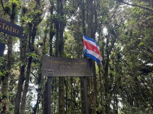 Summit of Cerro Dragón, Costa Rica, offering panoramic views of the surrounding mountains, valleys, and natural landscapes.