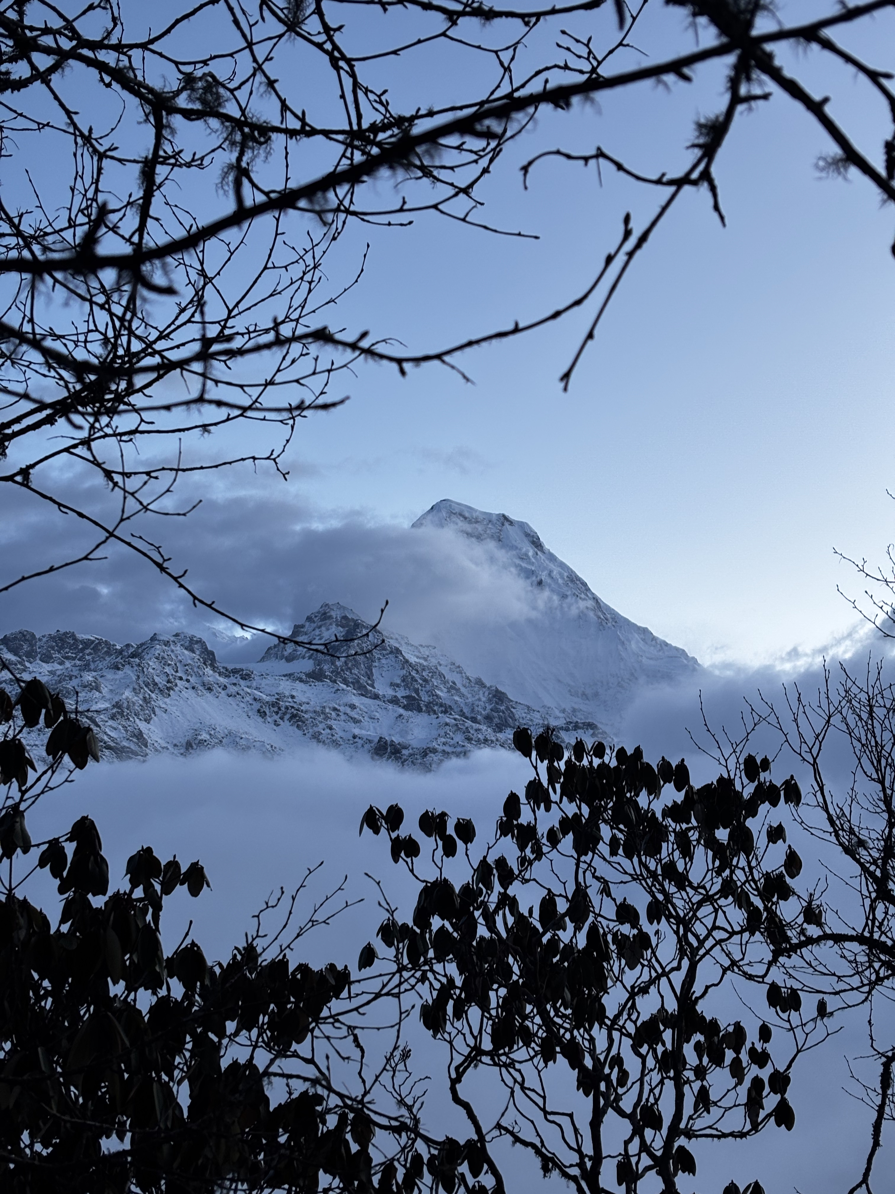 Snow capped mountain peak framed by silhouetted tree branches and misty clouds, creating a serene and majestic winter landscape.