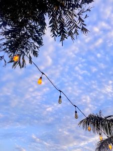 A string of warm, glowing outdoor light bulbs stretches diagonally across a blue sky filled with soft, white clouds, framed by tree branches.