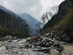 
Mountain landscape with a rocky stream in the foreground, bare trees lining the sides, and a mist-shrouded peak in the background. Overcast sky.