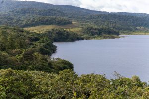 A calm lake bordered by dense green forest and rolling mountains. The hillsides show patches of open grassland among the trees, with a cloudy sky above the peaceful natural landscape.