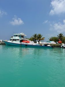 A motor boat docked on the sea shore surrounded by lush green palm trees.