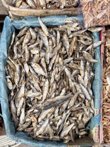 Dried small whole fish piled in a blue plastic crate at an open-air market. 