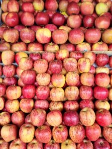 A vibrant arrangement of fresh red and yellow apples, neatly stacked at a market stall. The rich colors and repeating shapes create a lively and eye-catching photograph. Captured in Perumanna, Kozhikode, Kerala.