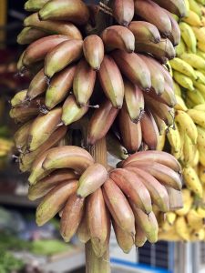 A bunch of ripe red bananas (locally known as Chenkadali or Sevvalai) hangs at a local fruit stall, showcasing their rich natural color and fresh appearance. This close-up highlights one of Kerala's unique banana varieties. Captured at Perumanna, Kozhikode.