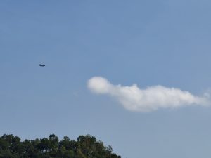 Small aircraft flying over treetops against a clear blue sky 