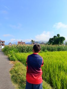 A boy gazes across rice paddies toward snow-capped Himalayan peaks on a clear morning. 
