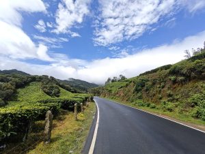 A winding mountain road cutting through lush rolling tea plantations under a bright blue sky with billowing white clouds 