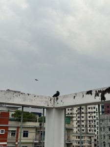 A solitary bird perches on a weathered white beam against a cloudy sky, with city buildings in the background. Another bird flies nearby. Calm atmosphere. 
