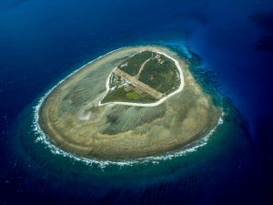An aerial view of Lady Elliot island with a white sandy beach, dense green vegetation, and a winding road. The island is surrounded by a wide, shallow reef structure under crystal-clear turquoise water, transitioning into deep blue ocean.
