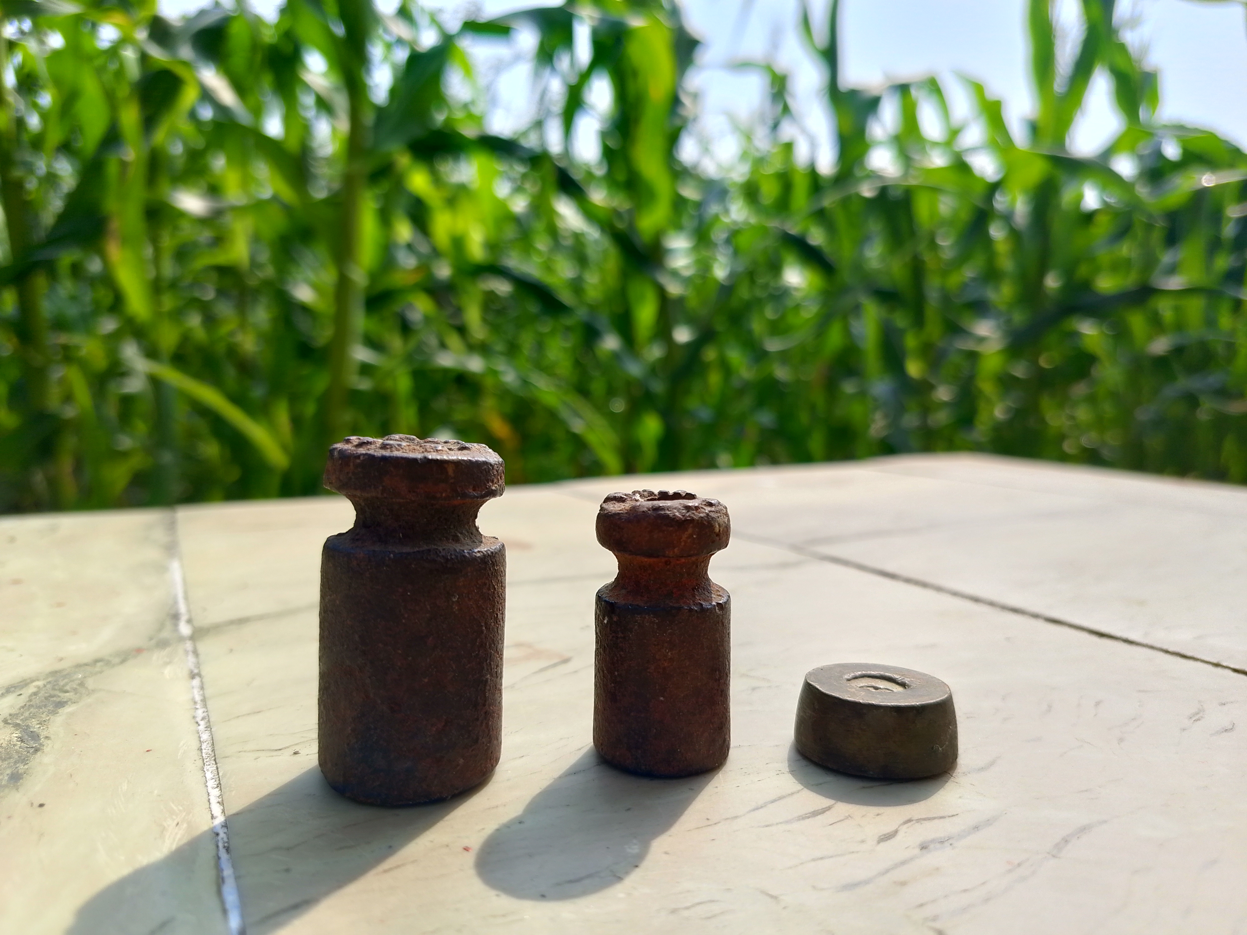 Three rusty antique scale weights on marble before a cornfield.