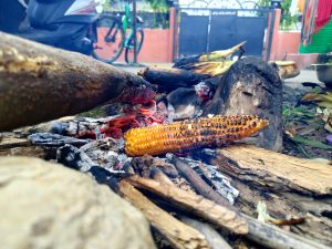A close-up view of a roasted corn cob resting among glowing embers and scattered pieces of charred wood. The corn is golden yellow with darkened, caramelized spots where it has been heated. 
