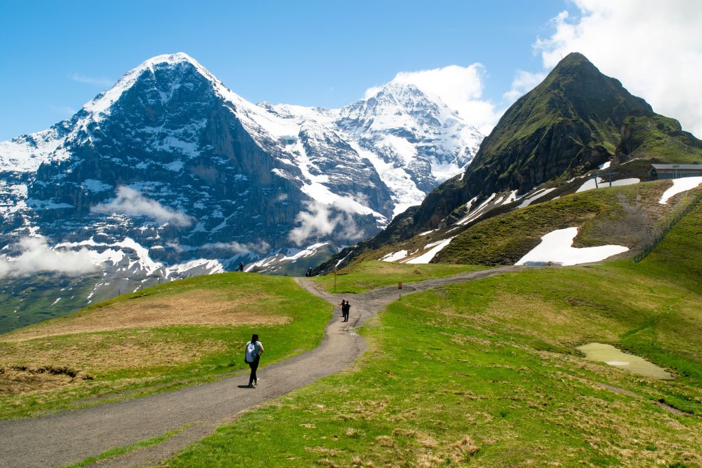 Beautiful view of the mountains with snow and green fields. Grindelwald, Switzerland.