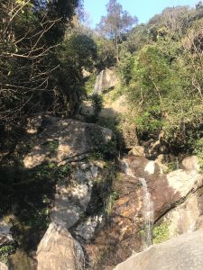 A serene waterfall cascades down a rocky hillside surrounded by lush green trees. 