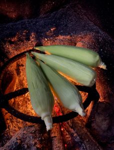 Four corn ears in green husks are roasting over a charcoal fire on a metal grate. Glowing embers below create a warm, smoky, rustic cooking scene.