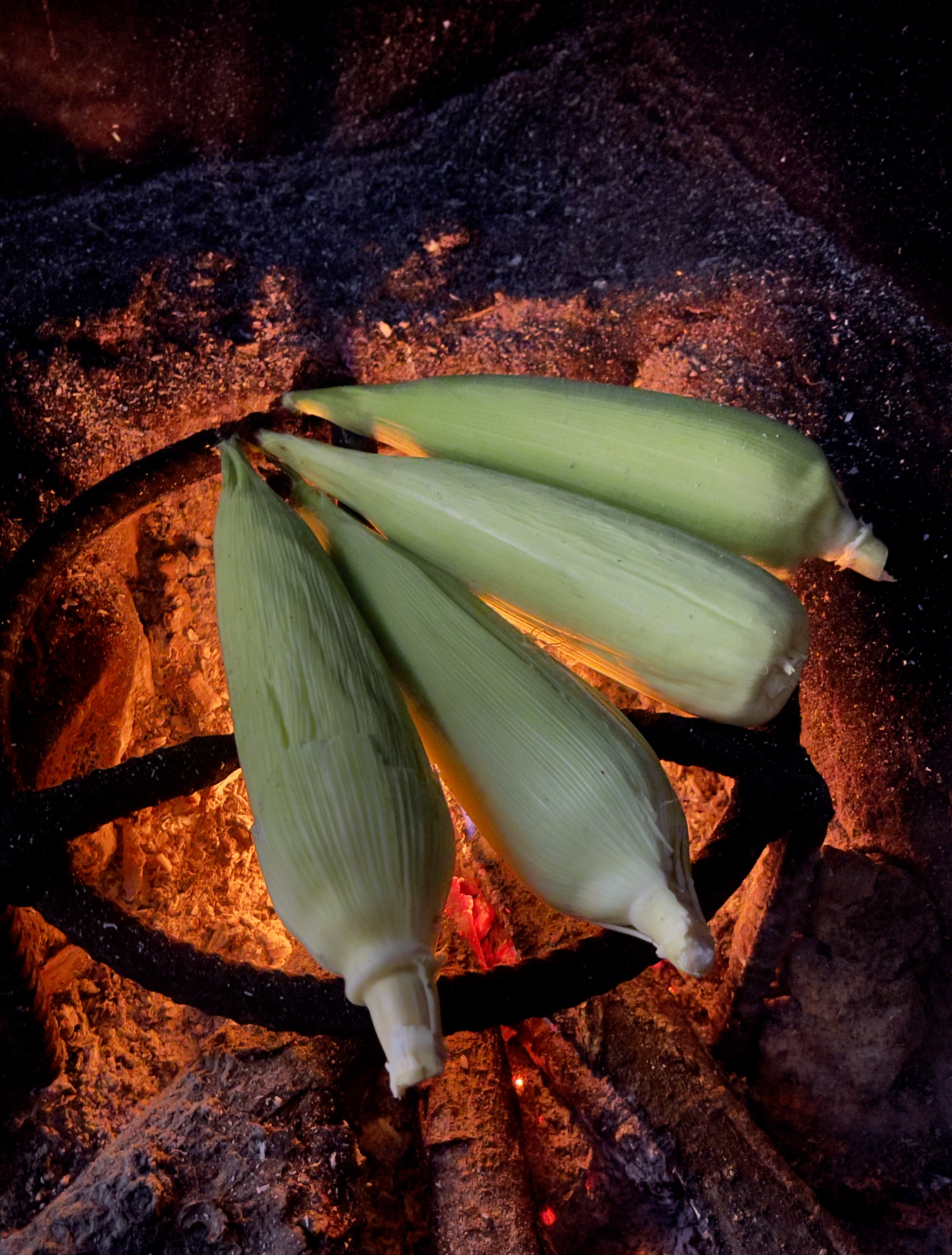 Four corn ears in green husks are roasting over a charcoal fire on a metal grate. Glowing embers below create a warm, smoky, rustic cooking scene.