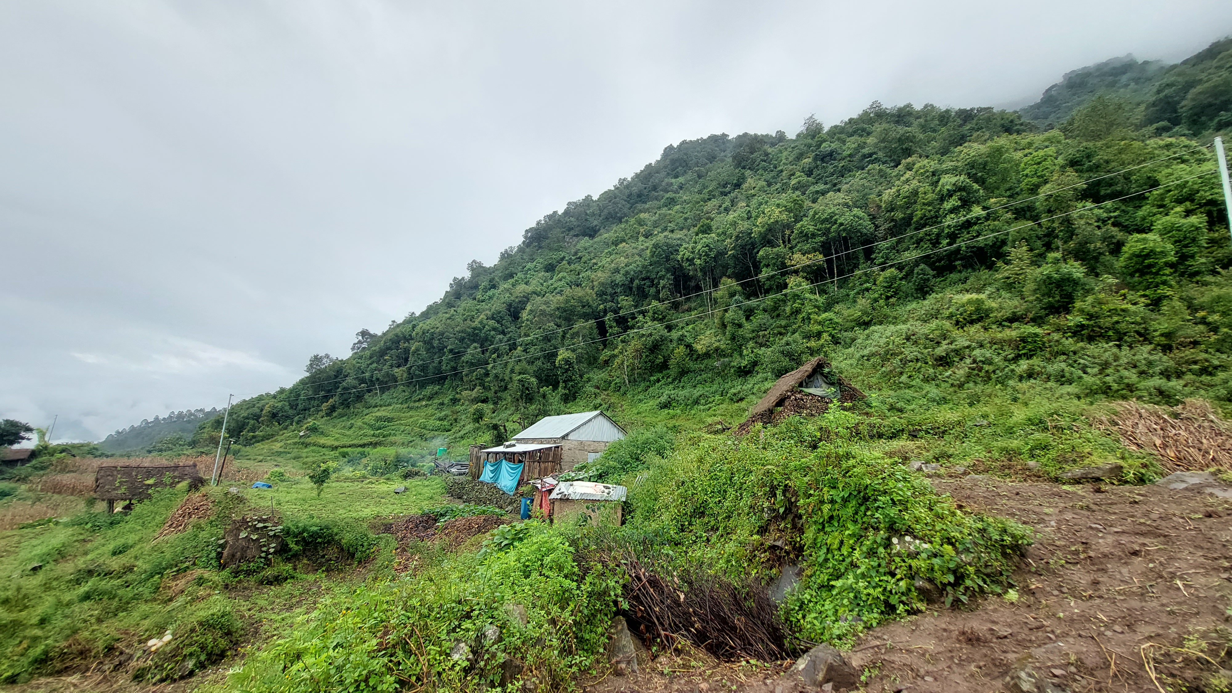 A lush, green hillside with dense trees forms the backdrop, while rustic wooden huts and scattered farming tools are set against the cloudy sky.