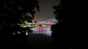 A lit bridge spans a calm river at night, its vibrant blue and red lights shimmering on the water. Dark foliage frames the scene, with faintly illuminated buildings in the background. A peaceful blend of nature and urban life under a starry sky.