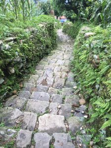 Stone-paved paths through the peaceful villages of rural Nepal.
