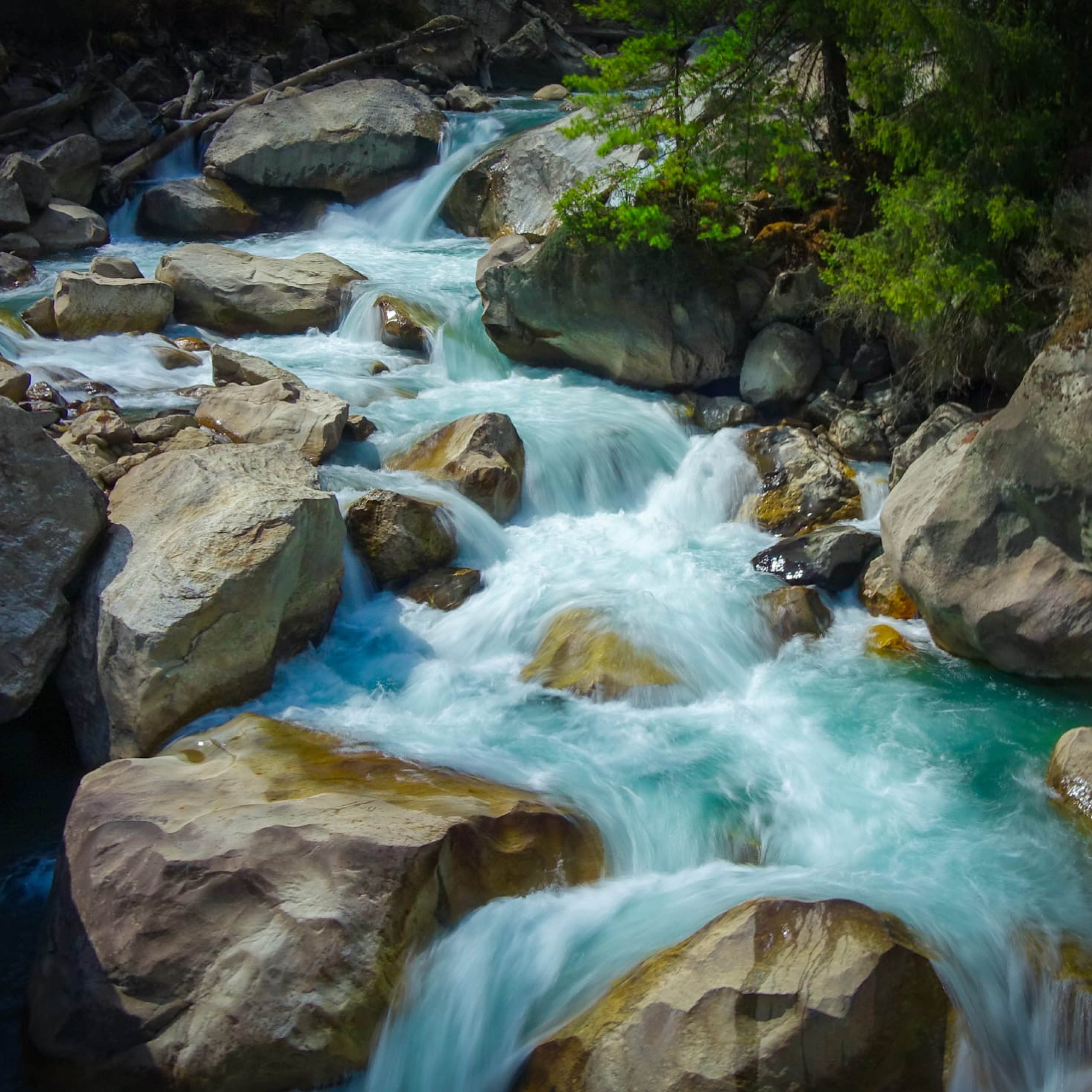 Clear water flows rapidly over large rocks and boulders in a forested mountain stream, surrounded by green trees and rugged terrain.