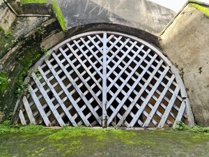 A large arched opening covered with a wooden lattice stands within the fort’s thick walls. Moss and weathered stone highlight the structure’s age, blending history with nature. Captured at St. Angelo Fort, Kannur, Kerala.
