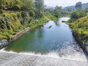 Water rushing over a concrete weir into a calm green canal lined with lush vegetation 