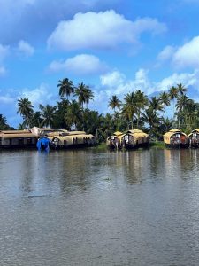 Traditional houseboats lined along a calm tropical waterway bordered by palm trees. 