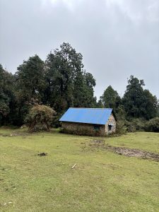 Solitary stone cottage with a vivid blue tin roof sitting quietly on a lush green meadow clearing surrounded by dense forest.