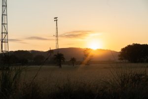 A golden sunrise over an open field, with the sun rising behind low hills and trees. Tall metal towers stand in the landscape, while grasses and tree silhouettes frame the warm morning light.