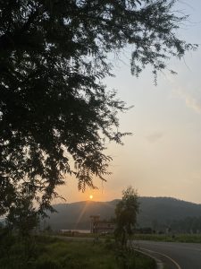 A golden sunset over rolling hills, viewed from a roadside. A large tree silhouette frames the upper left, while the sun sits low on the horizon casting a warm amber glow across a hazy sky. A small building and scattered vegetation are visible in the middle ground, with a curved road in the lower right foreground.
