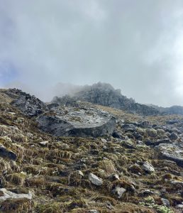Rocky mountain slope covered in moss, with large boulders under an overcast sky.
