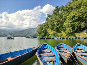 Rows of iconic blue wooden rowboats moored on Begnas Lake with forested hillside and clouds 
