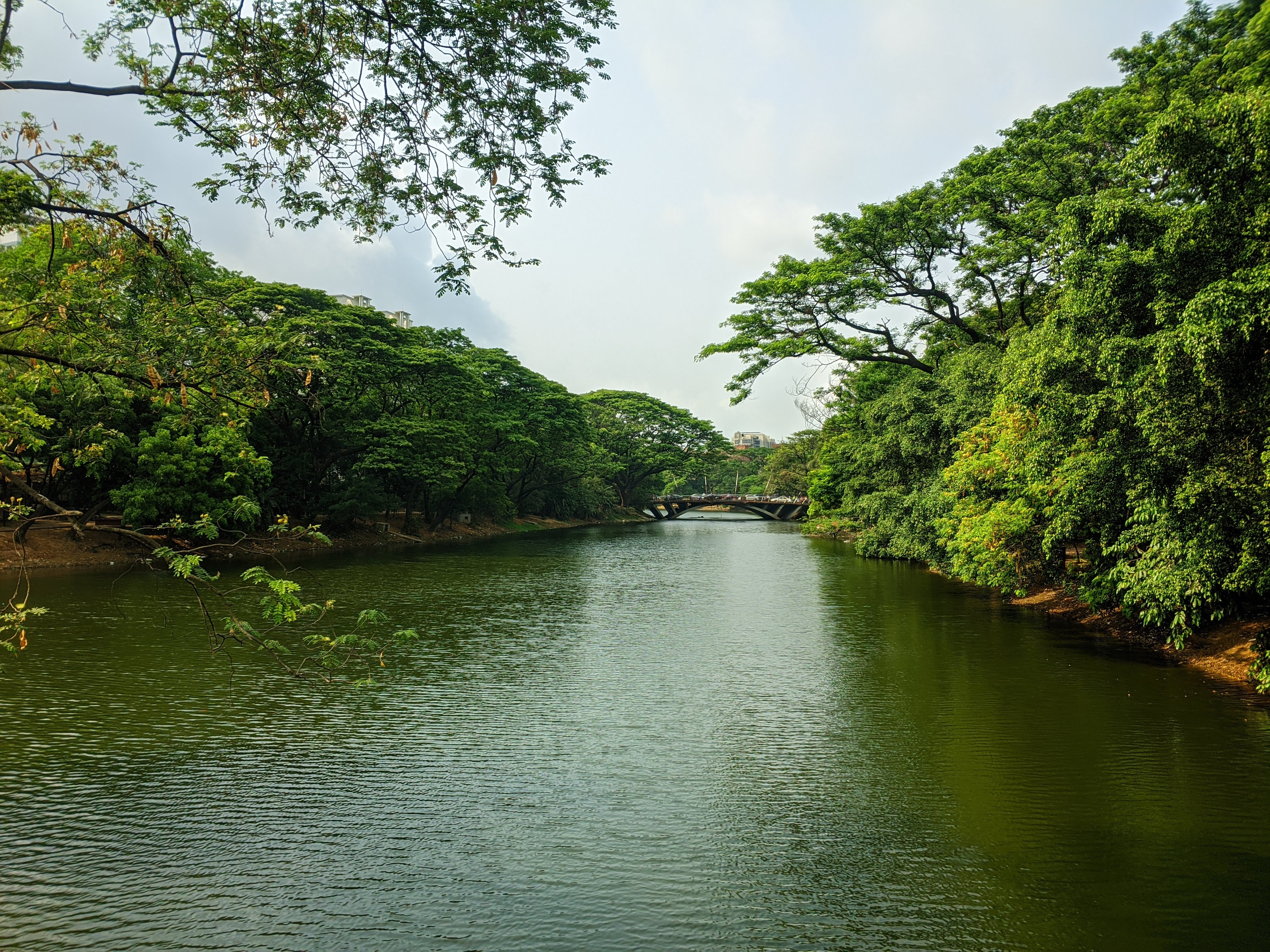 A serene river flanked by lush green trees under a clear sky. A small arched bridge is visible in the distance, creating a peaceful scene.