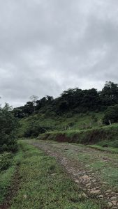 A winding dirt path passes through green hills under a cloudy sky. Tall trees surround the path, creating a peaceful Costa Rica landscape.