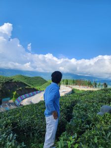 A man lost in the view of Kanyam while standing in middle of tea garden.