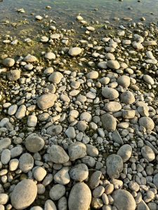 Smooth rounded river pebbles and stones in clear shallow water along the bank of a Nepali river in warm golden light. 