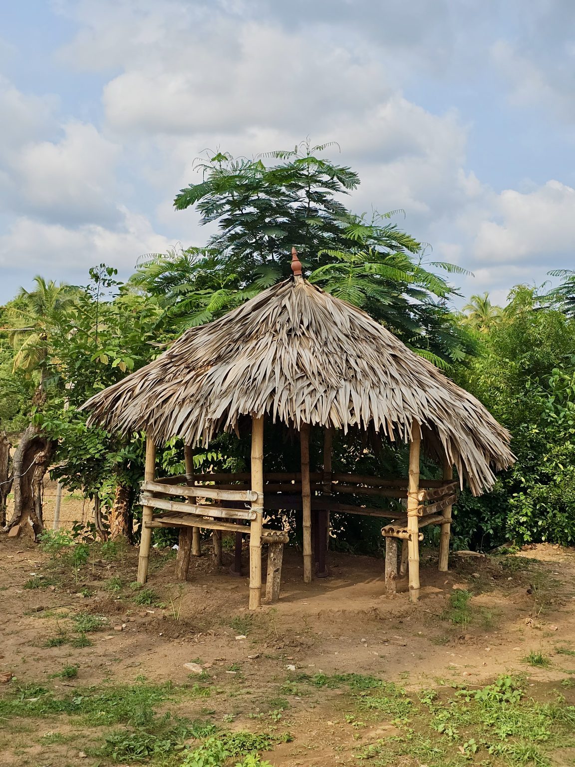 A simple traditional hut made with bamboo and dried palm leaves stands beautifully in a green village setting. The natural surroundings and cloudy sky give the image a warm rural Kerala feel. Captured in Mangode, Puthunagaram, Palakkad, Kerala, India.