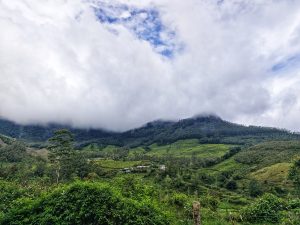 A lush green hillside landscape under a cloudy sky, with a mountain partially enveloped in mist.