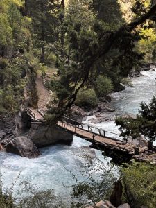 A wooden bridge spans a rushing blue river in a lush forest. 