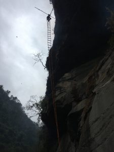 Suspended from towering cliffs and risking their lives, Nepal's traditional honey hunters harvest the rare Himalayan honey using skills passed down through generations. 