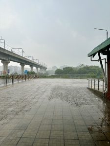 Rainy urban scene with a reflective wet pavement in the foreground, elevated railway to the left, and greenery under a gray, overcast sky. 
