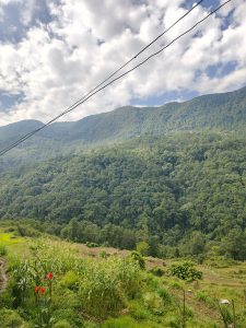 Vibrant green hills under a partly cloudy sky, with red flowers in the foreground and power lines crossing the scene, conveying a serene rural landscape.