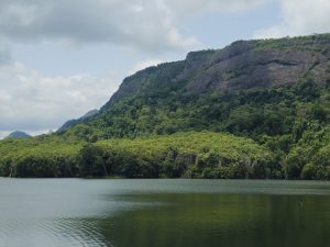 A peaceful landscape showing a calm lake surrounded by dense green forest and towering rocky hills. Soft clouds drift above the mountains, while reflections shimmer on the water, highlighting nature's untouched beauty. Captured at Parambikulam Tiger Reserve, Palakkad District, Kerala. 