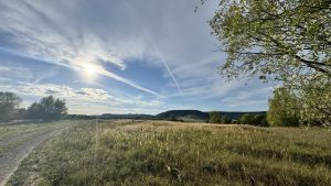 A wide open field of tall grass stretches toward soft hills under a bright, cloud-streaked sky. A winding dirt path on the left leads through clusters of lush trees, creating a peaceful, sun-warmed rural scene.
