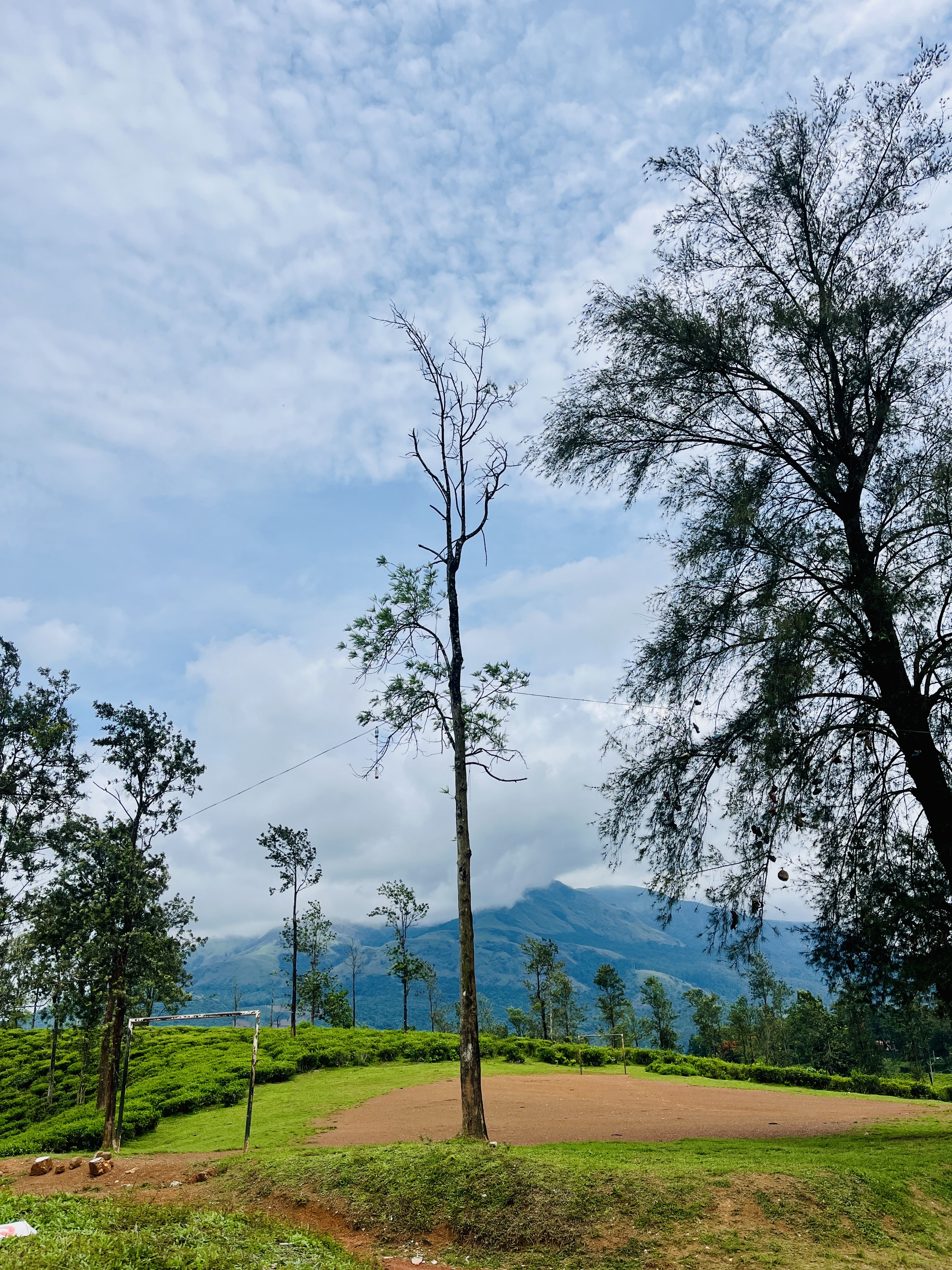 A serene landscape with lush green hills and sparse tall trees under a cloudy blue sky.