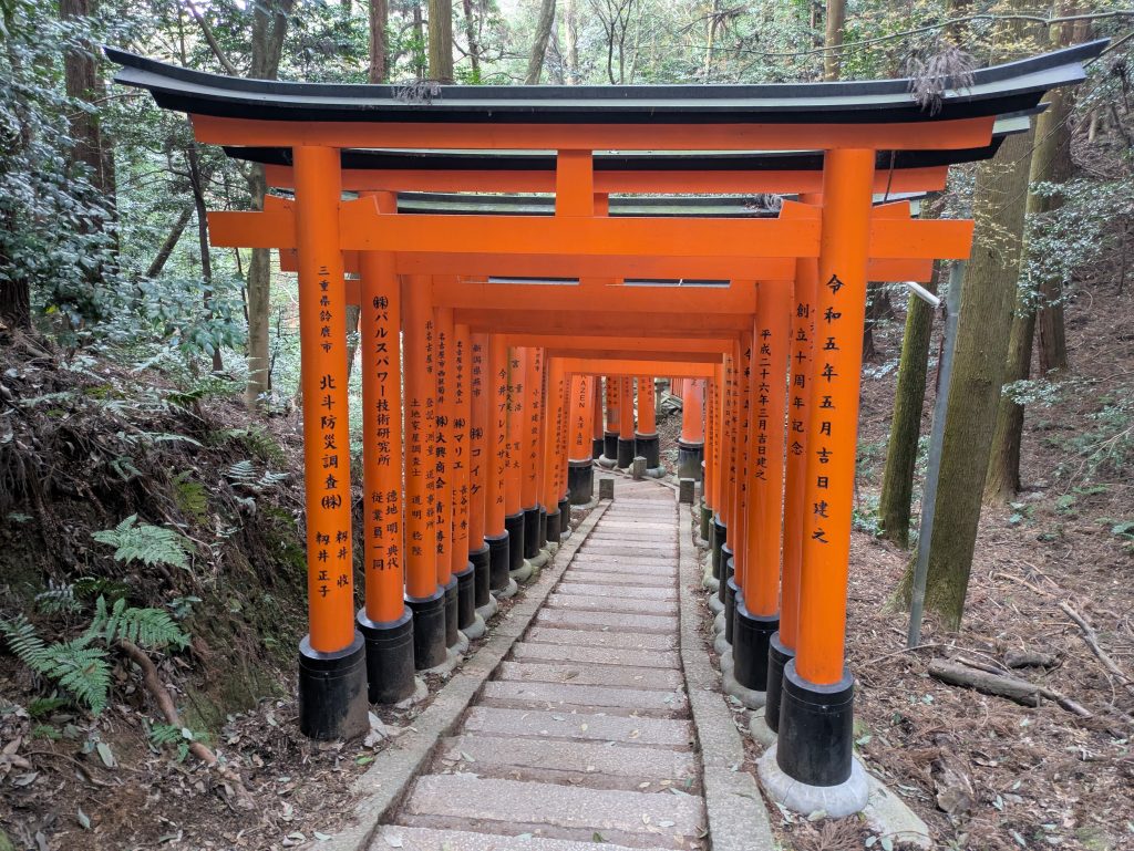 Pathway of vibrant orange torii gates winding through a forested hillside at Fushimi Inari Taisha in Kyoto, Japan. The traditional Shinto shrine trail, lined with donated gates bearing Japanese inscriptions, creates a peaceful and iconic scene surrounded by cedar trees.