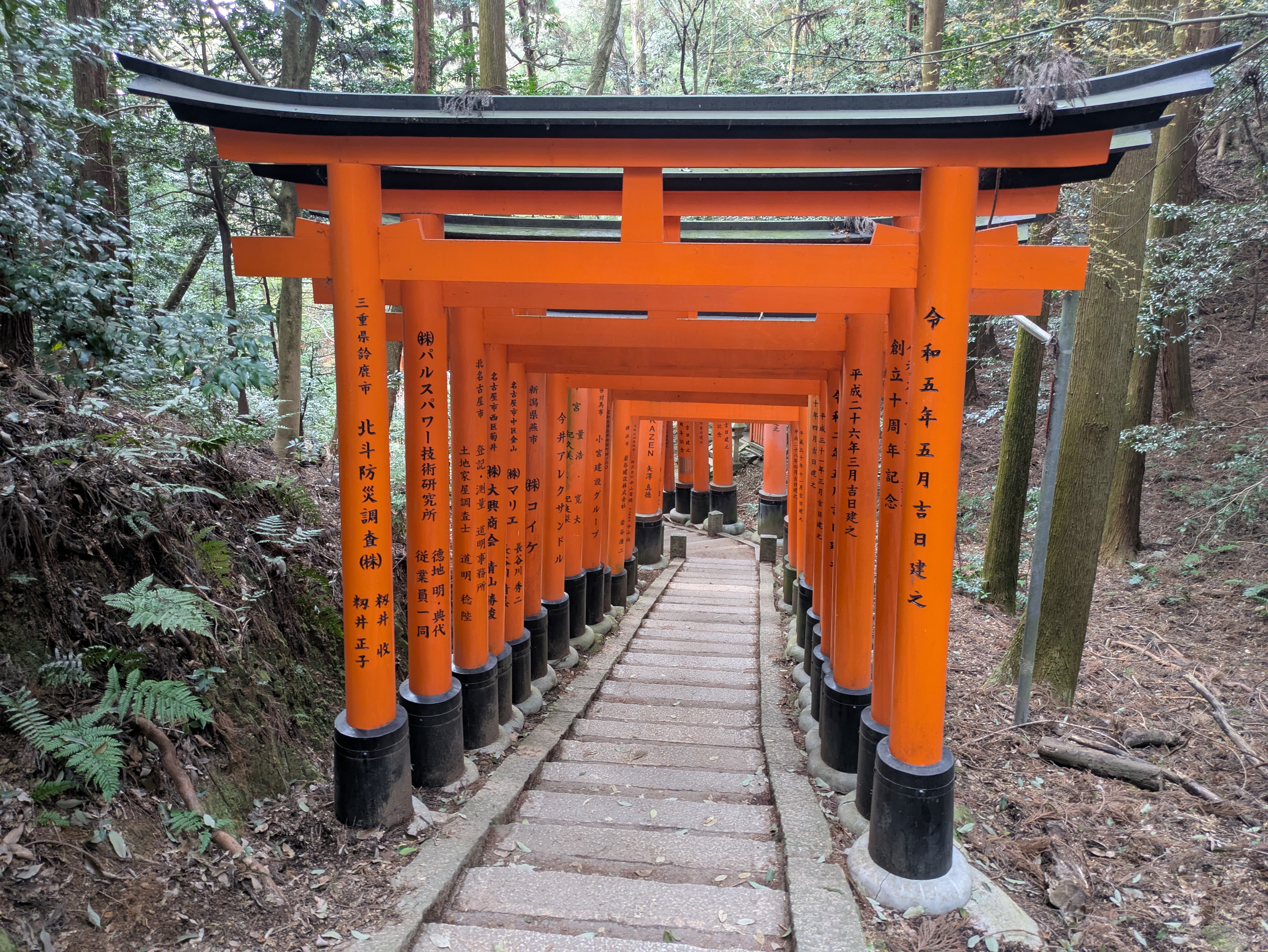 Pathway of vibrant orange torii gates winding through a forested hillside at Fushimi Inari Taisha in Kyoto, Japan. The traditional Shinto shrine trail, lined with donated gates bearing Japanese inscriptions, creates a peaceful and iconic scene surrounded by cedar trees.