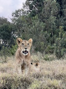 Focused….The New King in the World Showing Key eye to be able to Provide the much needed Security 