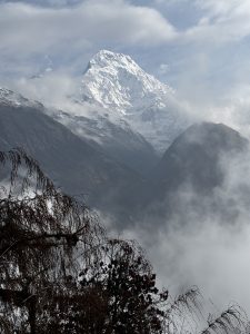 Snow capped mountain peak surrounded by mist and clouds, with barren trees and red flowers in the foreground,