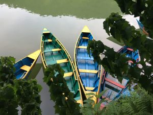 An artistic boat floating on the tranquil waters of Fewa Lake, surrounded by lush green flowers, beautifully reflects the unmatched beauty of nature.